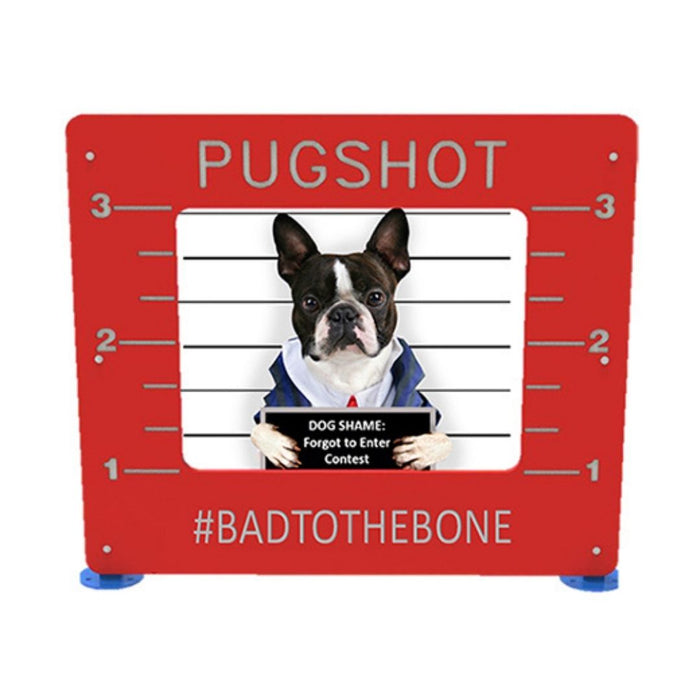Pug Shot