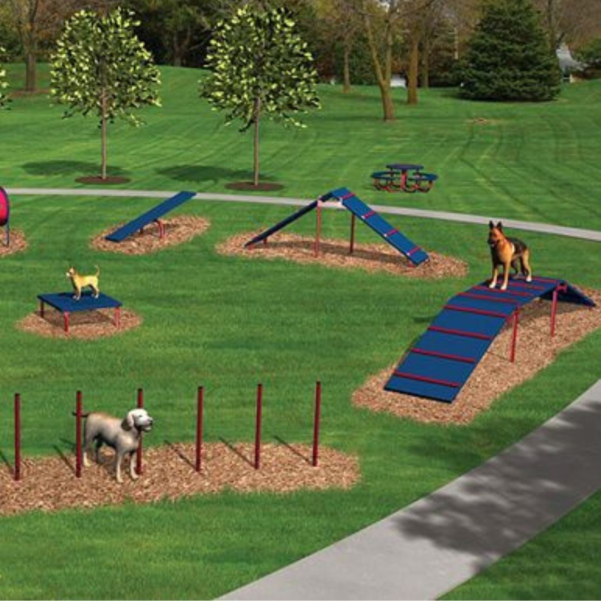 Dog Park Equipment