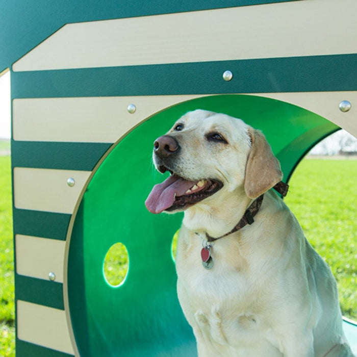 Recycled Curved Tunnel W/Dog House