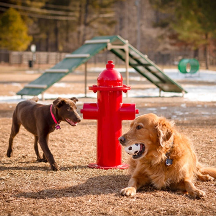 Fire Hydrant